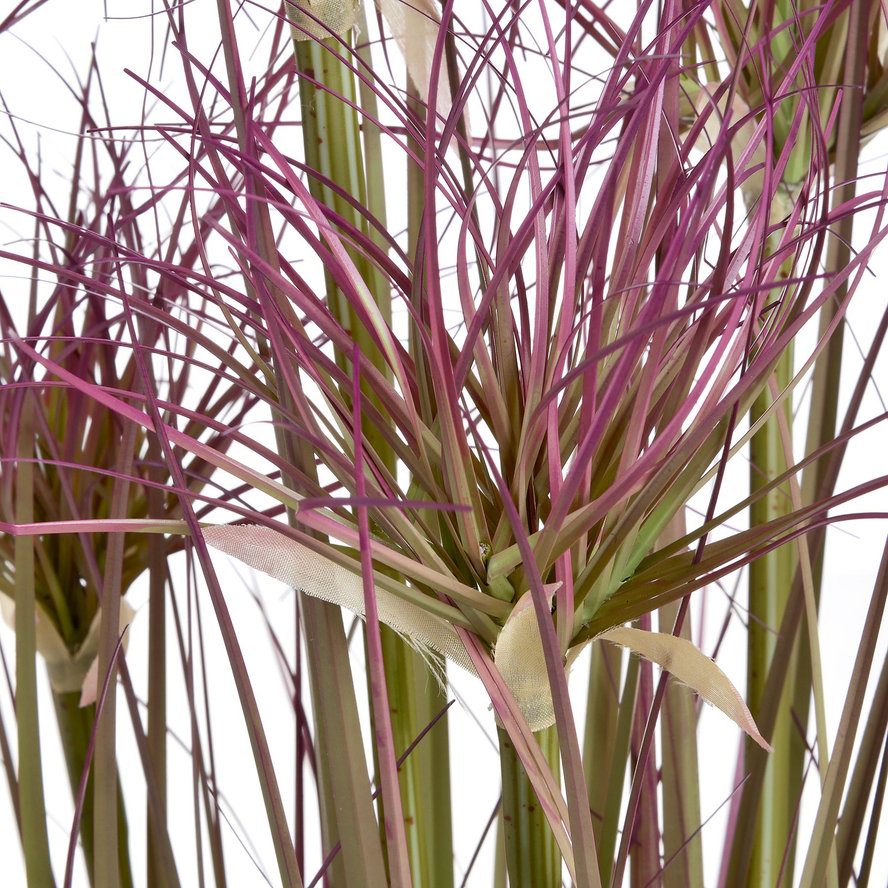 Water Bamboo Grass 24 Inch