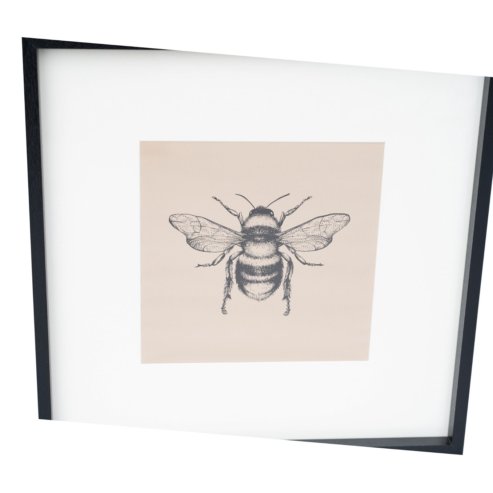Set of 2 Bee Framed Prints