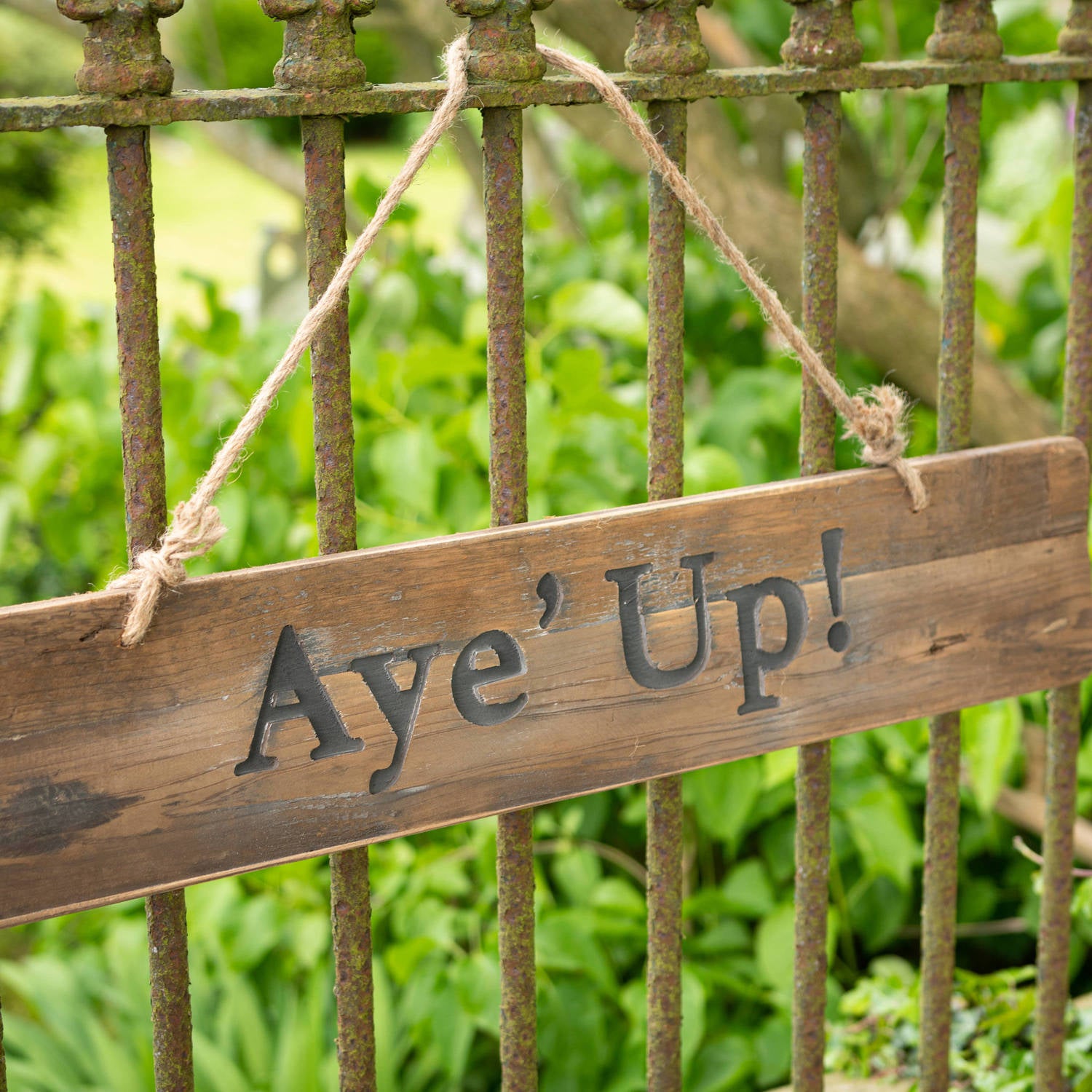 Aye' Up Rustic Wooden Message Plaque
