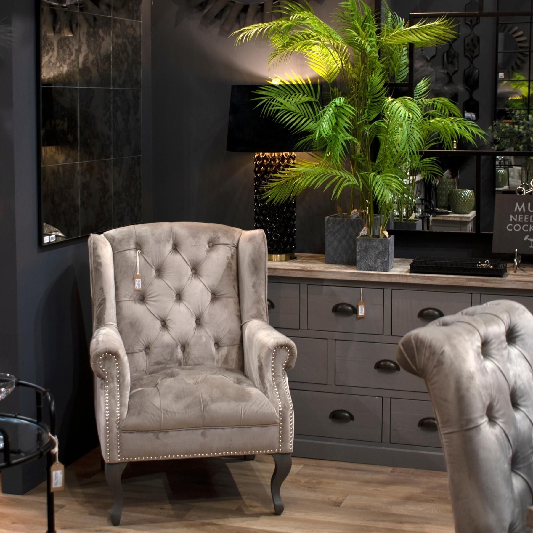 Paradise Potted Palm