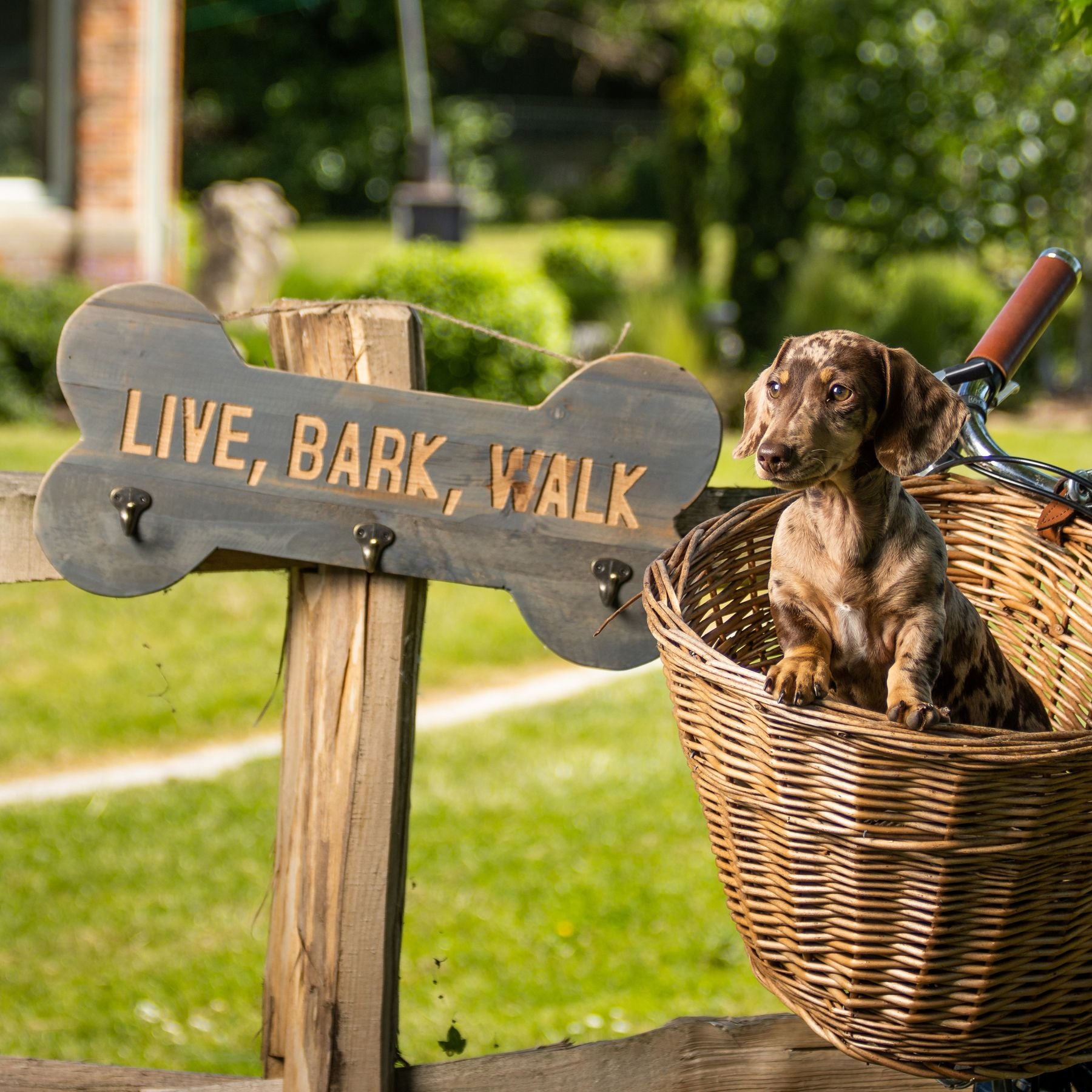 Grey Wash Live Bark Walk Lead Hook