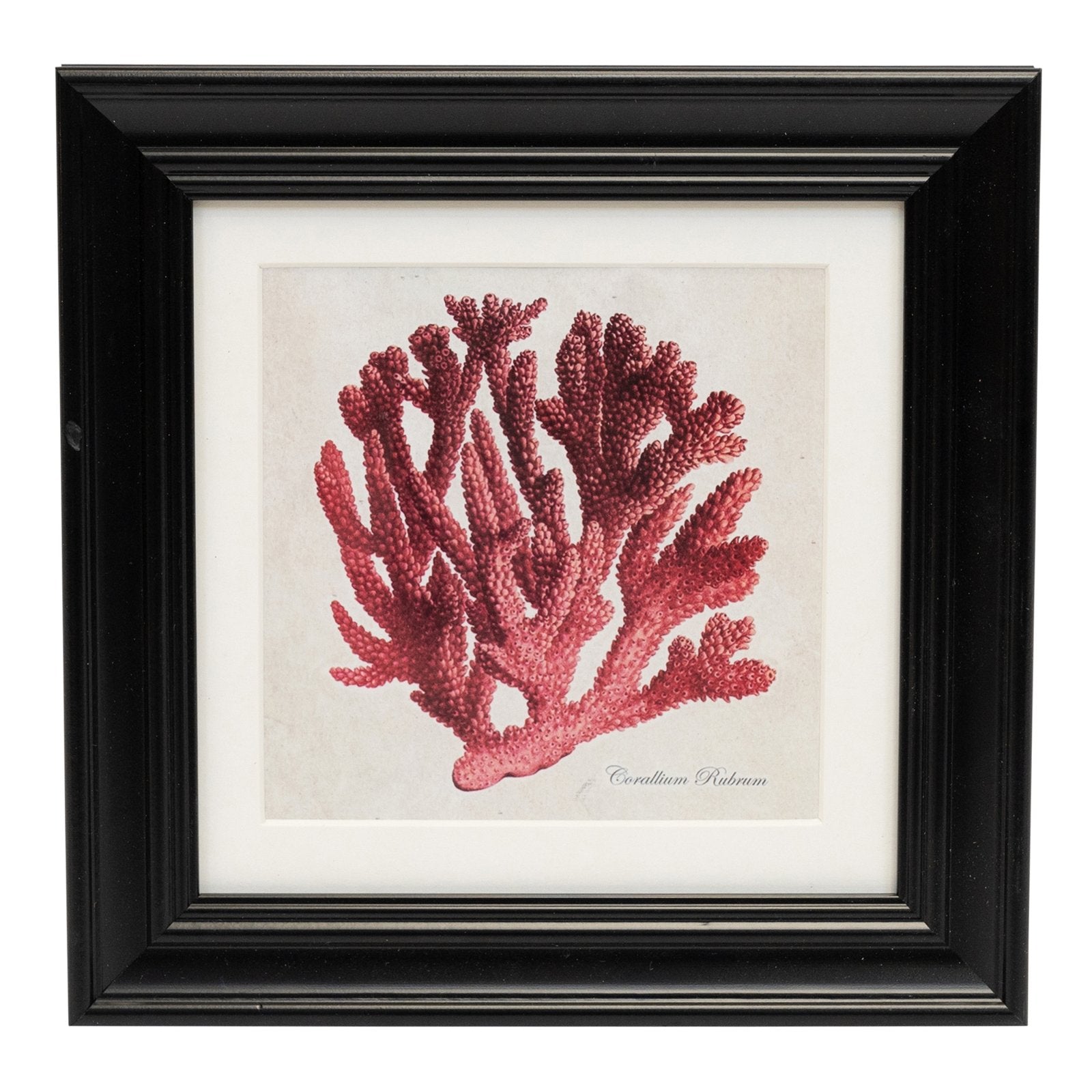 Set of 5 Boho Art in Black Frames