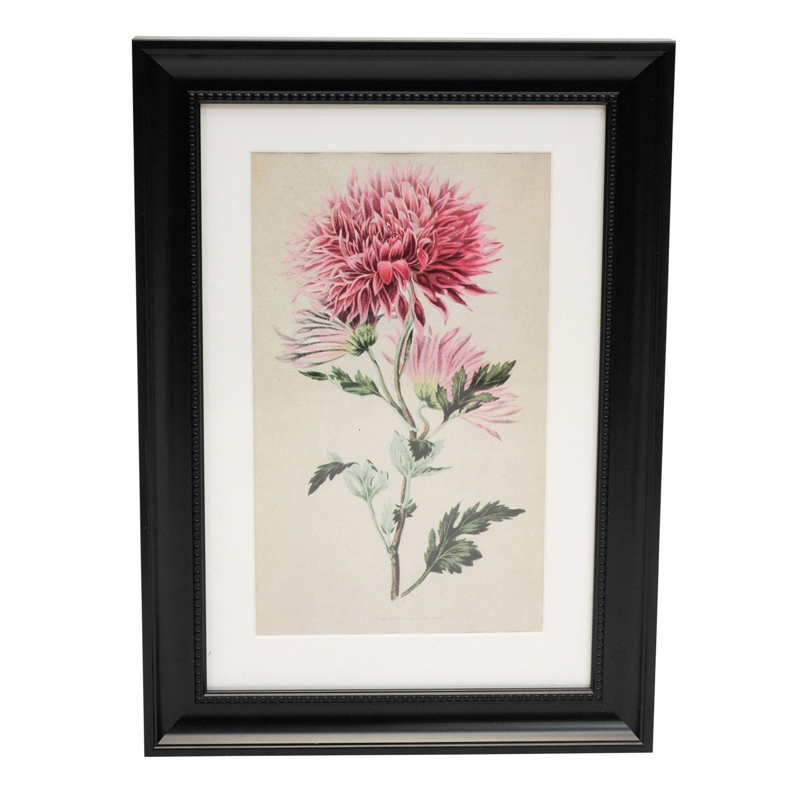 Set of 5 Boho Art in Black Frames