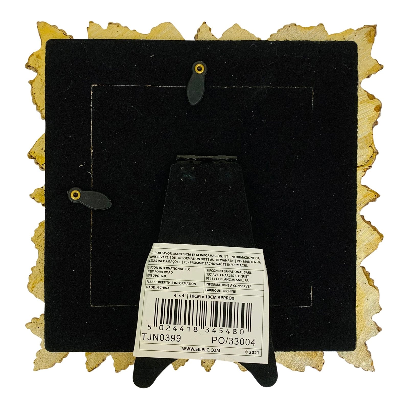 Photo Frame Edged With Golden Leaf Design 4x4"